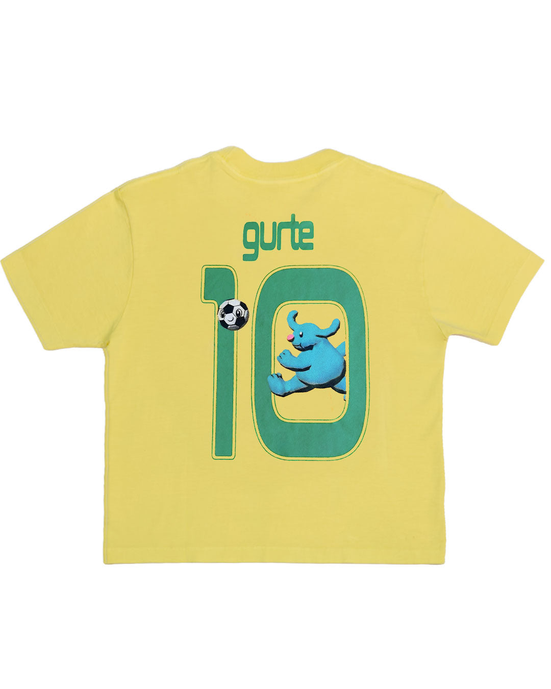 CAMISETA CAMPEONATO MUNDIAL